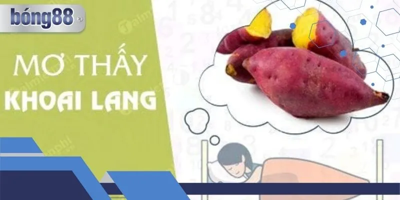 Mơ Thấy Ăn Khoai Đánh Con Gì? Lý Giải Từng Chi Tiết Giấc Mơ