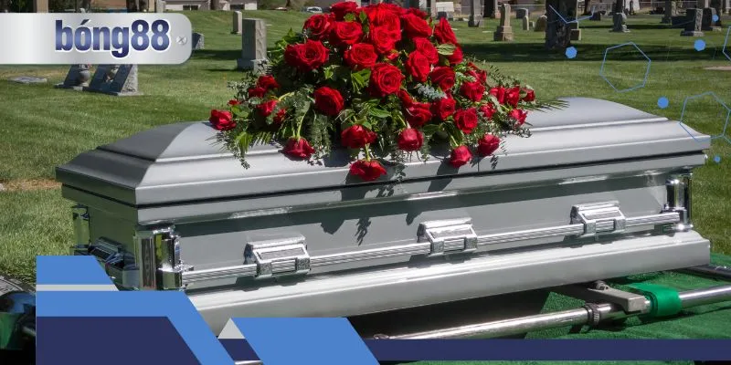 Giải mã chi tiết từ chuyên gia