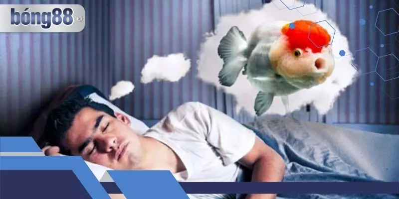 Mơ thấy cá to có nhiều con số cho từng trường hợp