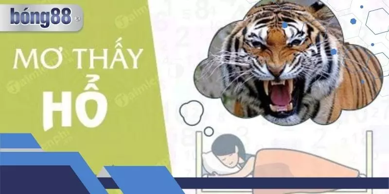 Mơ Thấy Hổ Là Điềm Báo Gì? Nên Đánh Con Số Nào?