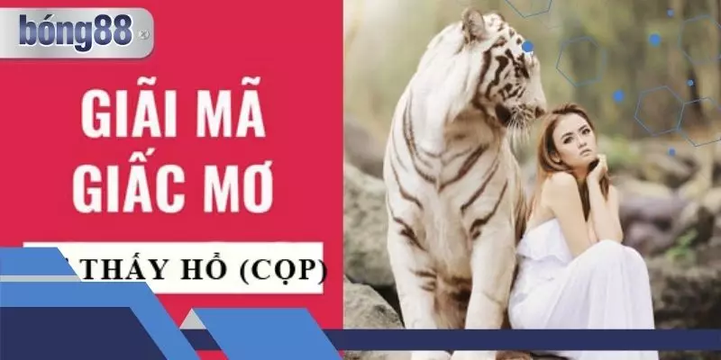 Mơ thấy hổ có nhiều trường hợp xảy ra ở hiện thực 