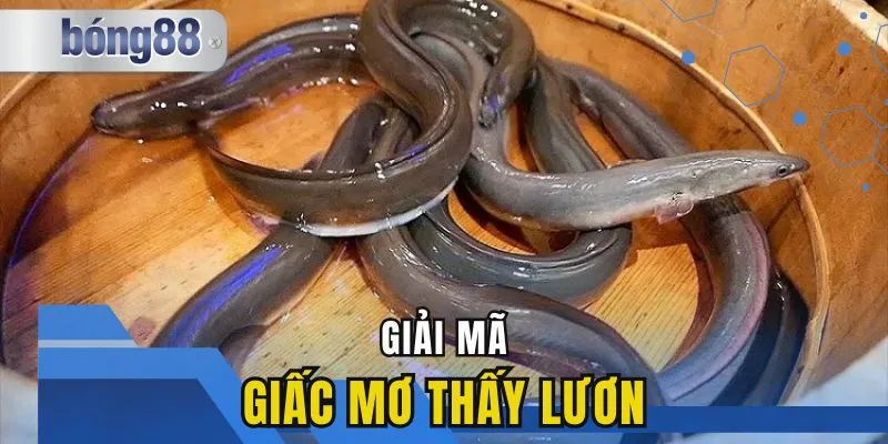 Giải Mã Giấc Mơ Thấy Lươn: Điềm Báo Gì Và Con Số May Mắn?
