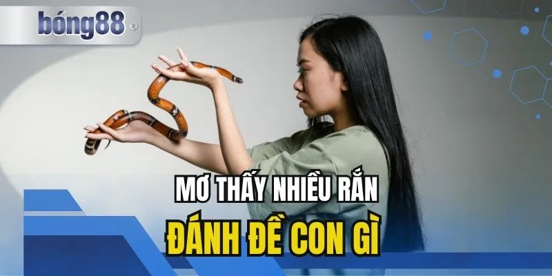 Mơ thấy nhiều rắn đánh đề con gì cho may mắn ăn tiền?